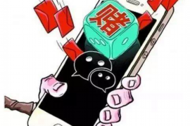 漠河债务清欠服务